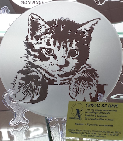 CHATON QUI ATTEND
